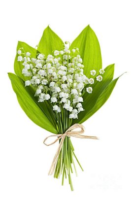 Lily of the valley bouquet elena elisseeva 266x400