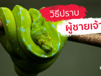 วิธีปราบผู้ชายเจ้าชู้ – บริษัทจัดหาคู่