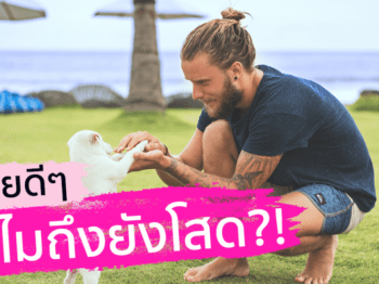 ผู้ชายดีๆ ทำไมถึงยังโสด – บริษัทจัดหาคู่