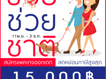 ช้อปช่วยชาติ 2017 – บริษัทจัดหาคู่